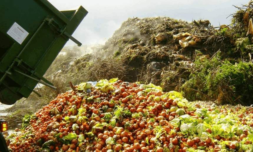 如何進行無害化果蔬垃圾處理？